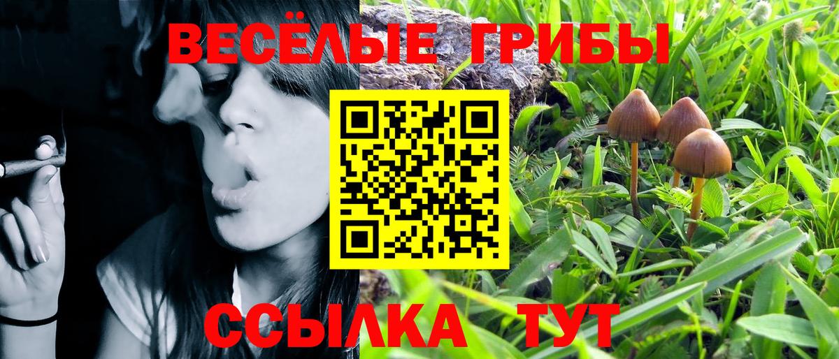 Псилоцибиновые грибы ЛСД  Вход с VPN  Удомля 